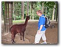 Foto_110.jpg