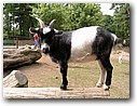Foto_122.jpg