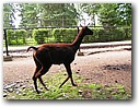 Foto_123.jpg