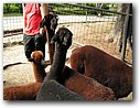 Foto_125.jpg