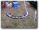 Foto_048.jpg