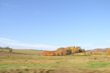 Foto_001.jpg