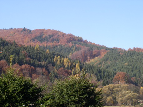 Foto_062.jpg