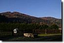 Foto_056.jpg