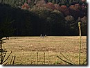 Foto_061.jpg