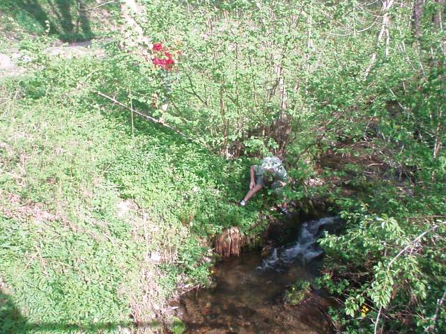 Foto_012.jpg