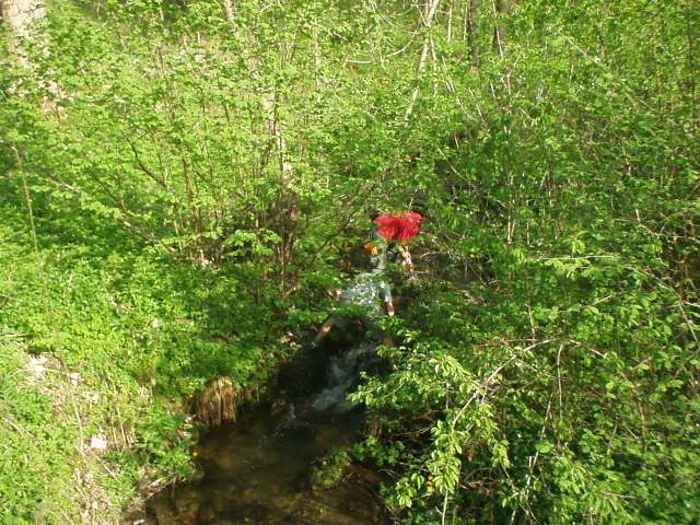 Foto_014.jpg