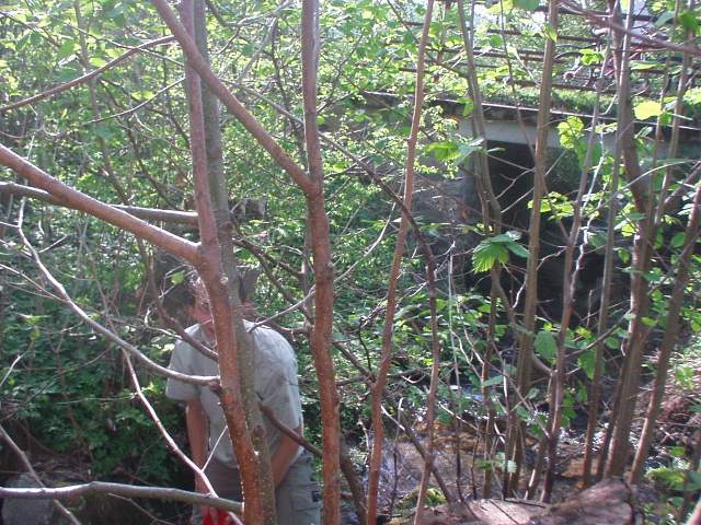 Foto_015.jpg