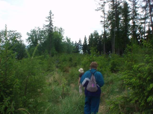 Foto_036.jpg