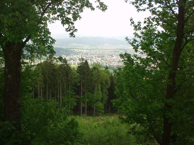 Foto_037.jpg