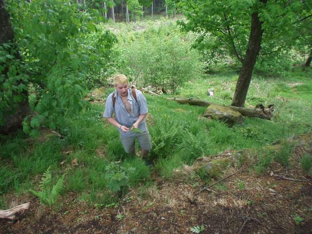 Foto_038.jpg