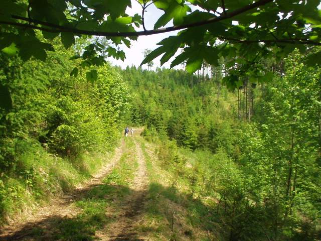 Foto_042.jpg