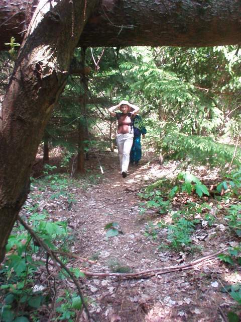Foto_044.jpg