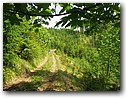 Foto_042.jpg