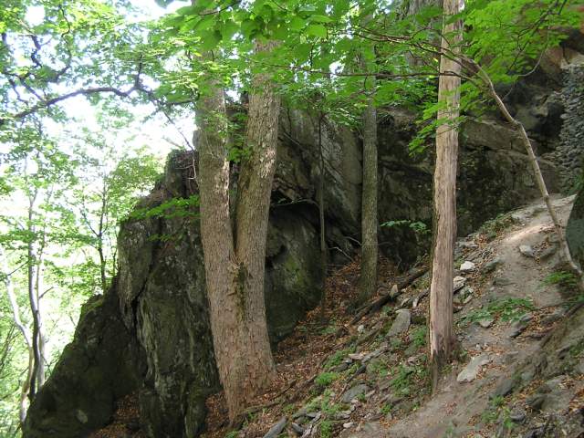 Foto_067.jpg