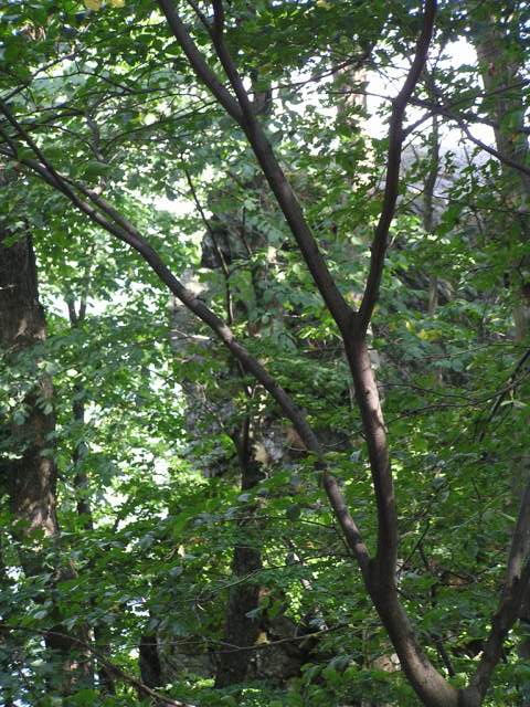 Foto_084.jpg