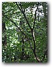 Foto_084.jpg