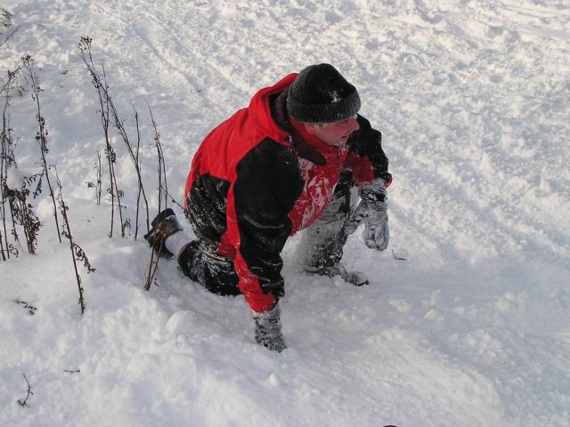 Foto_041.jpg
