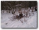 Foto_012.jpg