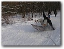 Foto_030.jpg