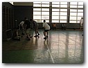 Foto_021.jpg
