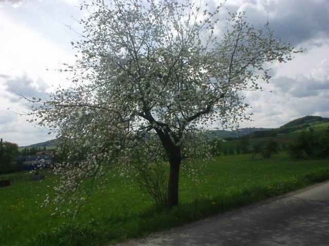 Foto_047.jpg