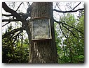 Foto_023.jpg