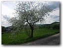 Foto_047.jpg