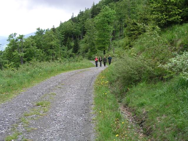 Foto_002.jpg