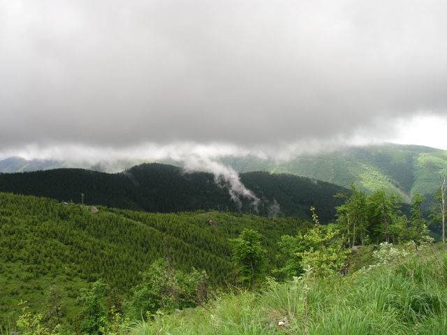 Foto_003.jpg