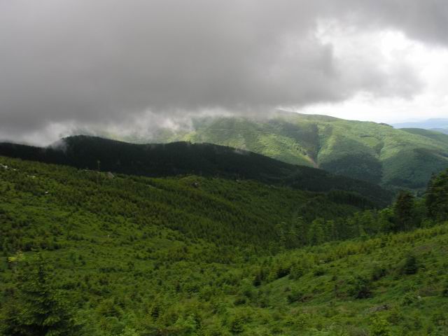 Foto_004.jpg
