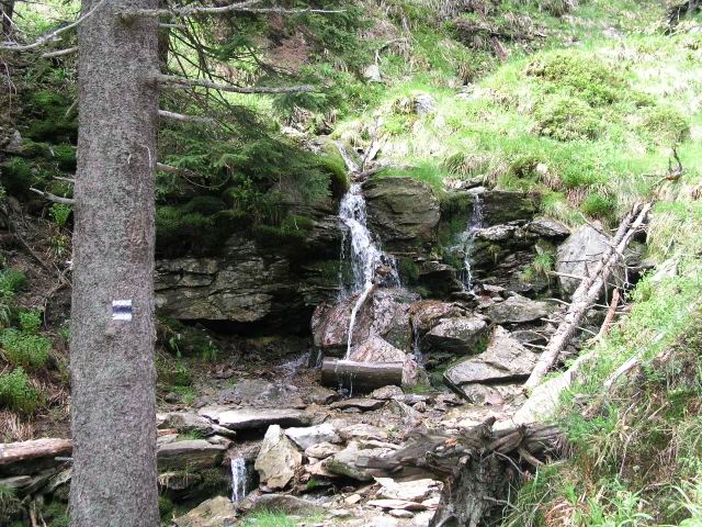 Foto_034.jpg