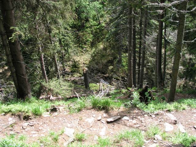 Foto_038.jpg