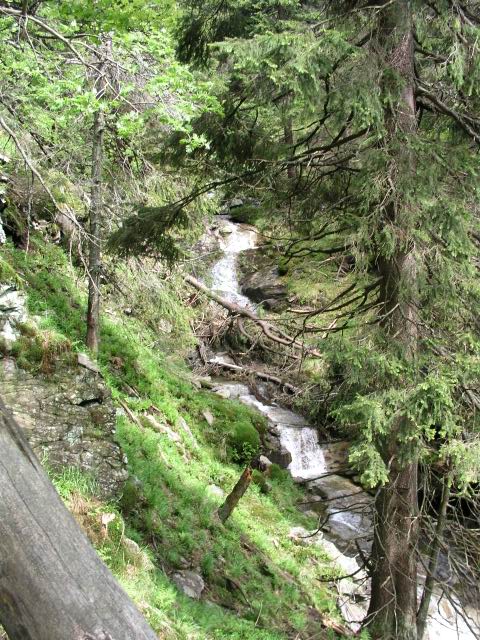 Foto_042.jpg
