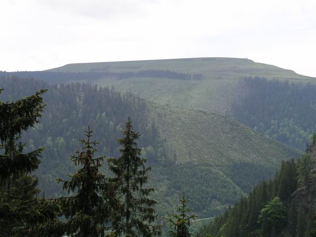 Foto_047.jpg