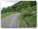 Foto_002.jpg