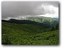 Foto_004.jpg