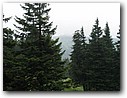 Foto_015.jpg
