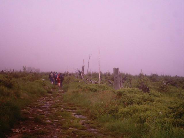 Foto_005.jpg