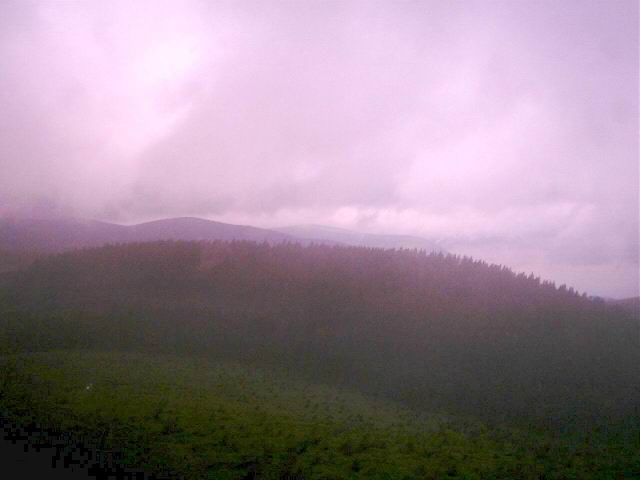Foto_006.jpg