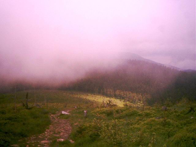 Foto_007.jpg