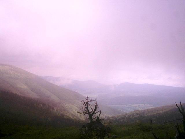Foto_009.jpg