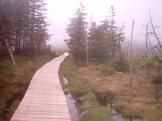 Foto_011.jpg