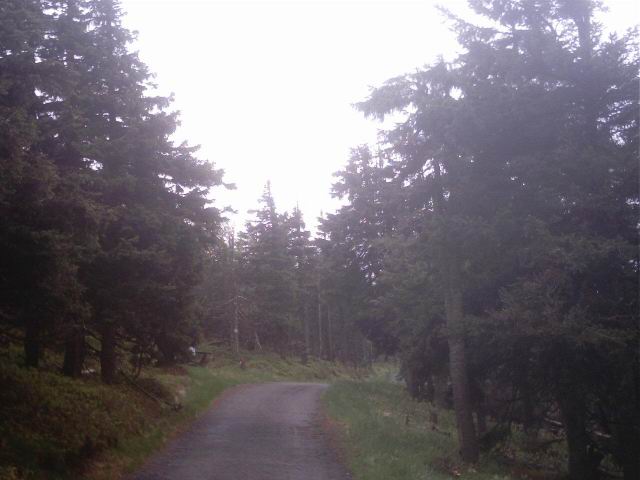 Foto_015.jpg