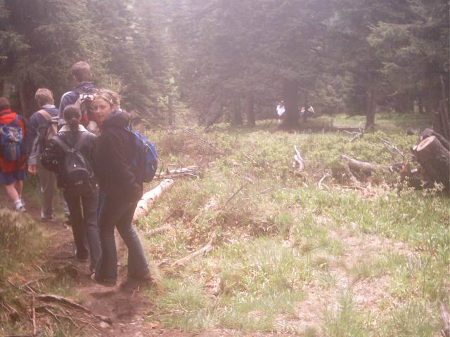 Foto_029.jpg