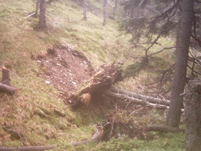 Foto_030.jpg