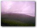 Foto_006.jpg