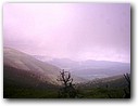 Foto_009.jpg