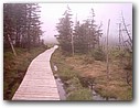 Foto_011.jpg