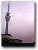 Foto_021.jpg